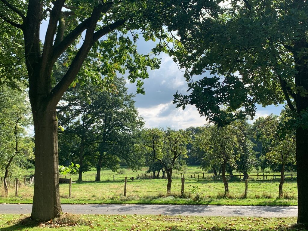 Camping in ruhiger Lage mit Wiesen- und Weideblick