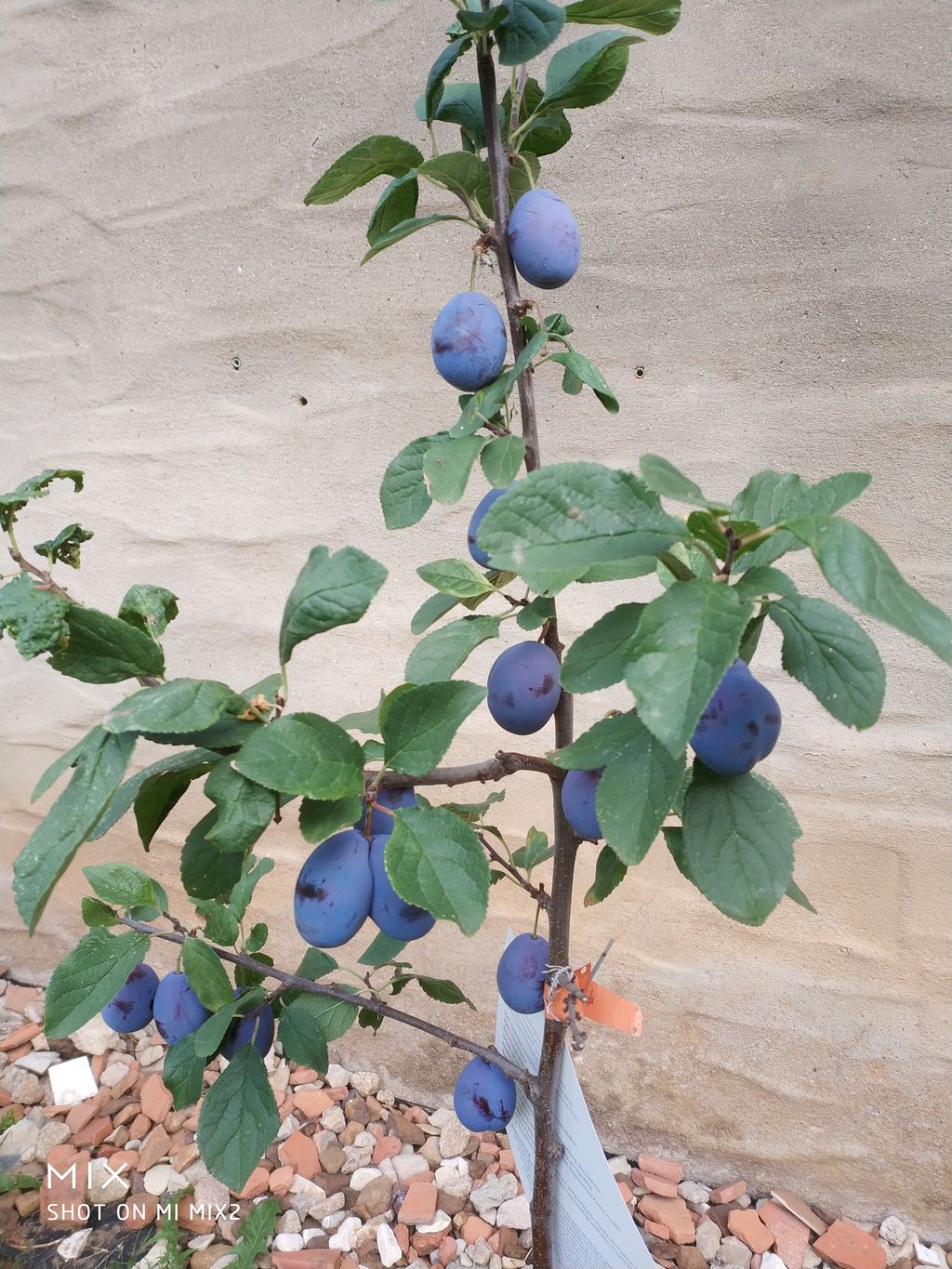 Détente aux portes de la Suisse franconienne