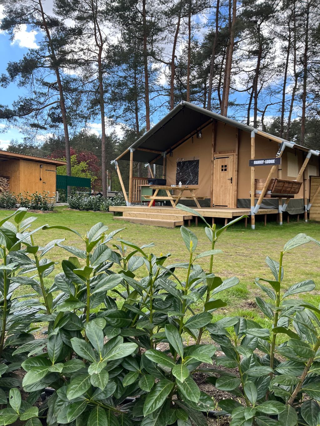 Glampingzelt Family-Lodge in der Lüneburger Heide