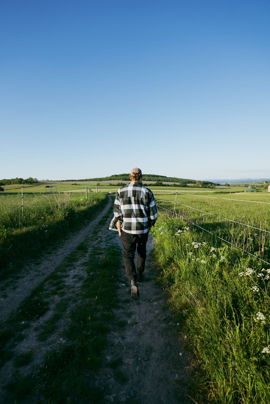 On the pasture with a far-reaching view of the Elbe Sandstone Mountains