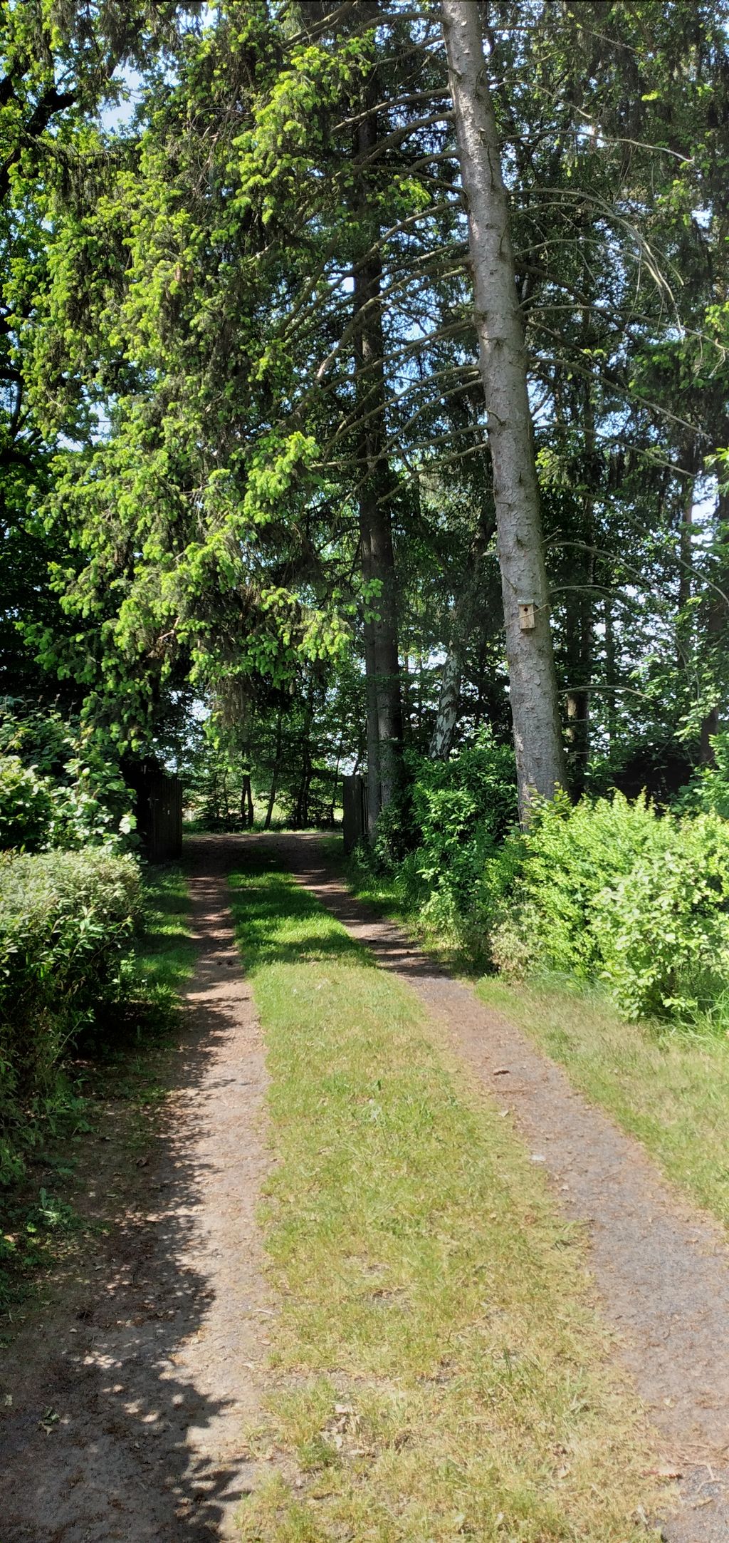Ruhiger, schöner Platz in Waldnähe