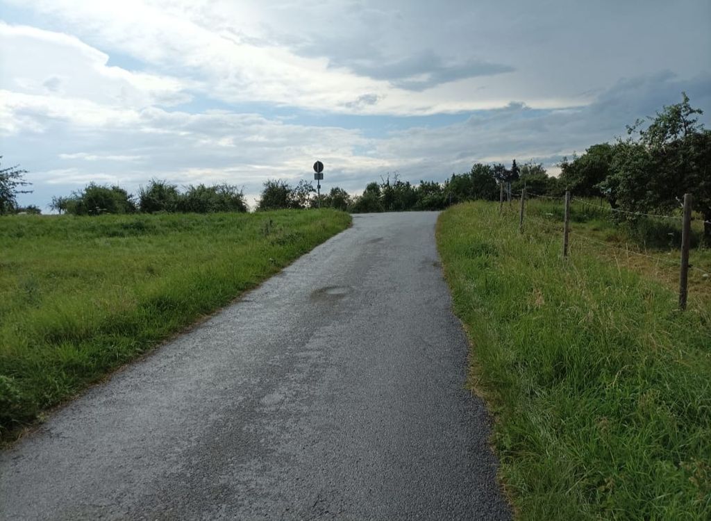 Campeggio sotto le stelle e le viti