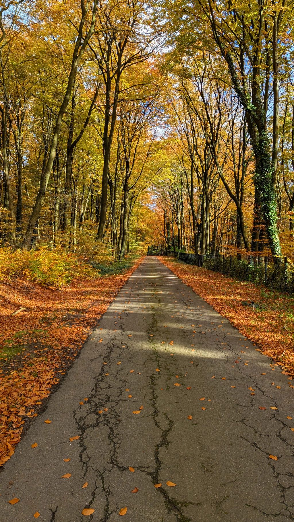 Pernottamento per viaggiatori di passaggio