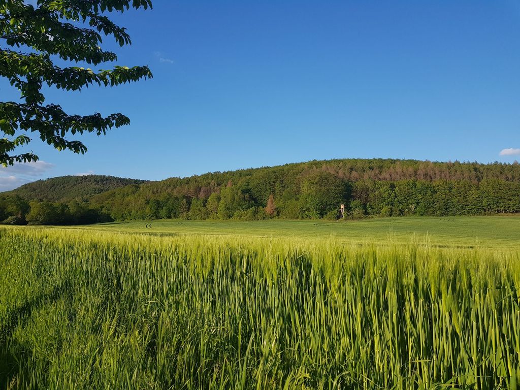 Geheimtipp für stille Genießer des Ursprünglichen