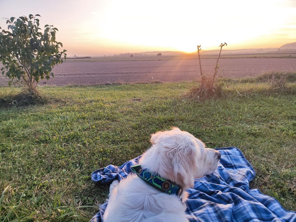 Profiter du coucher de soleil en Souabe