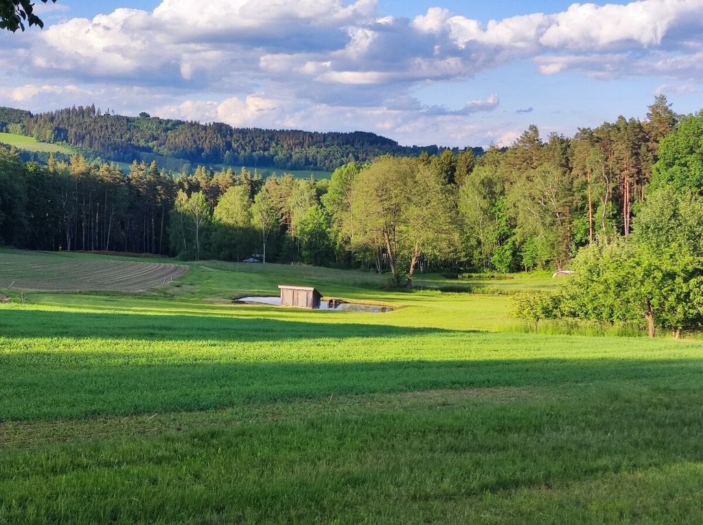 À la campagne, dans la magnifique forêt du Haut-Palatinat