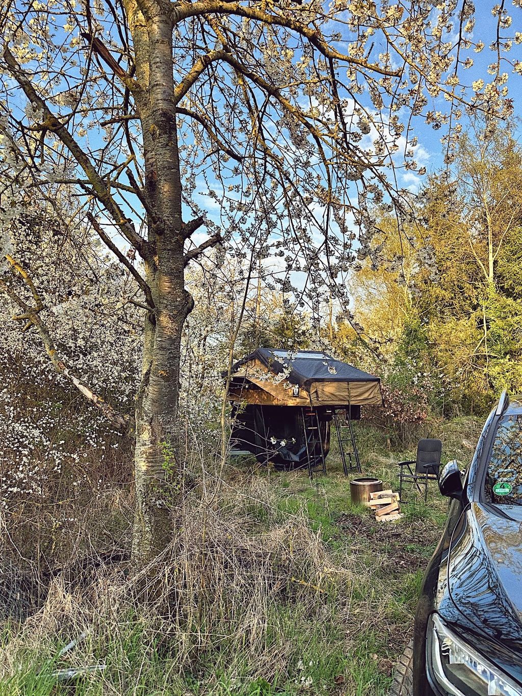 Drover Heide Camp am Waldrand in der Eifel
