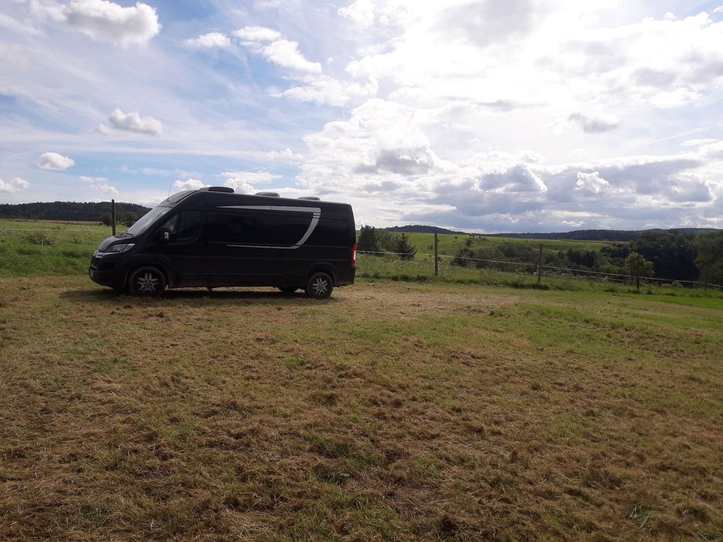 Meadow pitches on organic farm