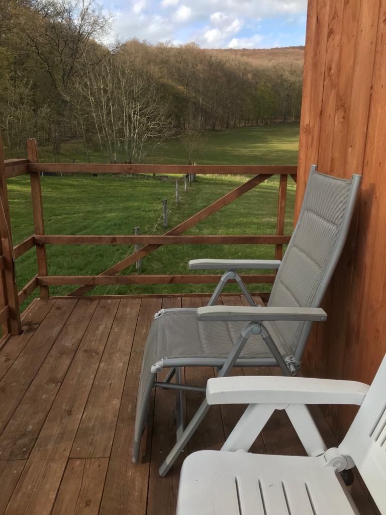 Vacances à la lisière de la forêt dans le parc national du Harz