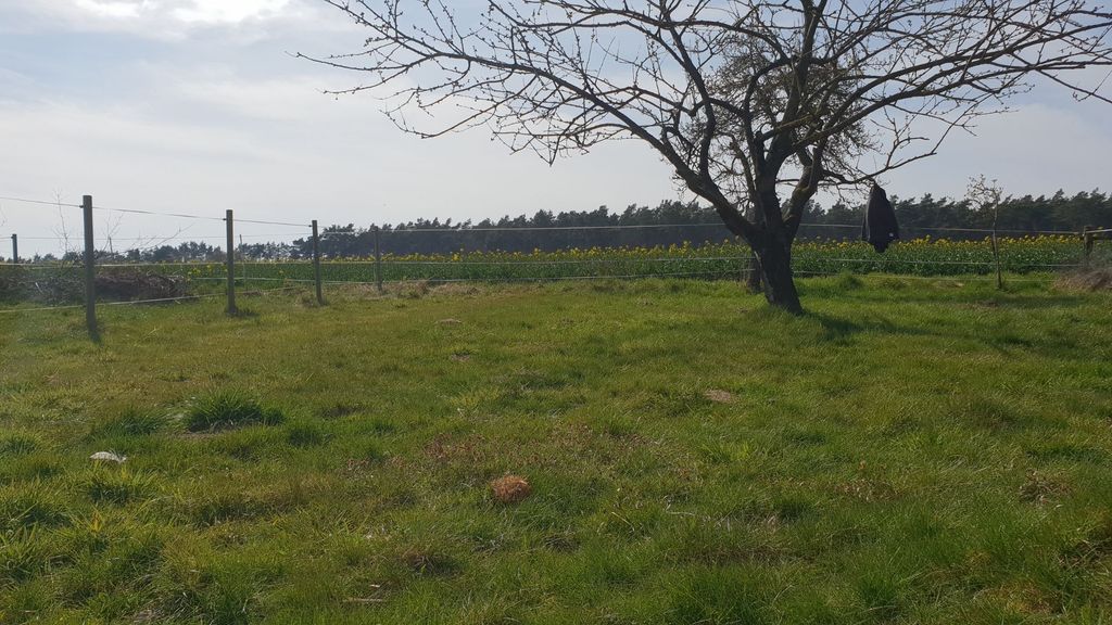 Un joli terrain de camping dans un petit verger