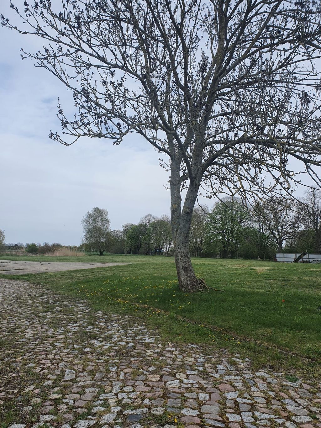 Klappstuhl auspacken und erholen 
