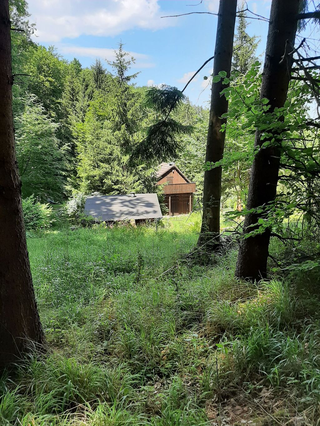 Naturismus auf Wiesengelände eines FKK Vereins