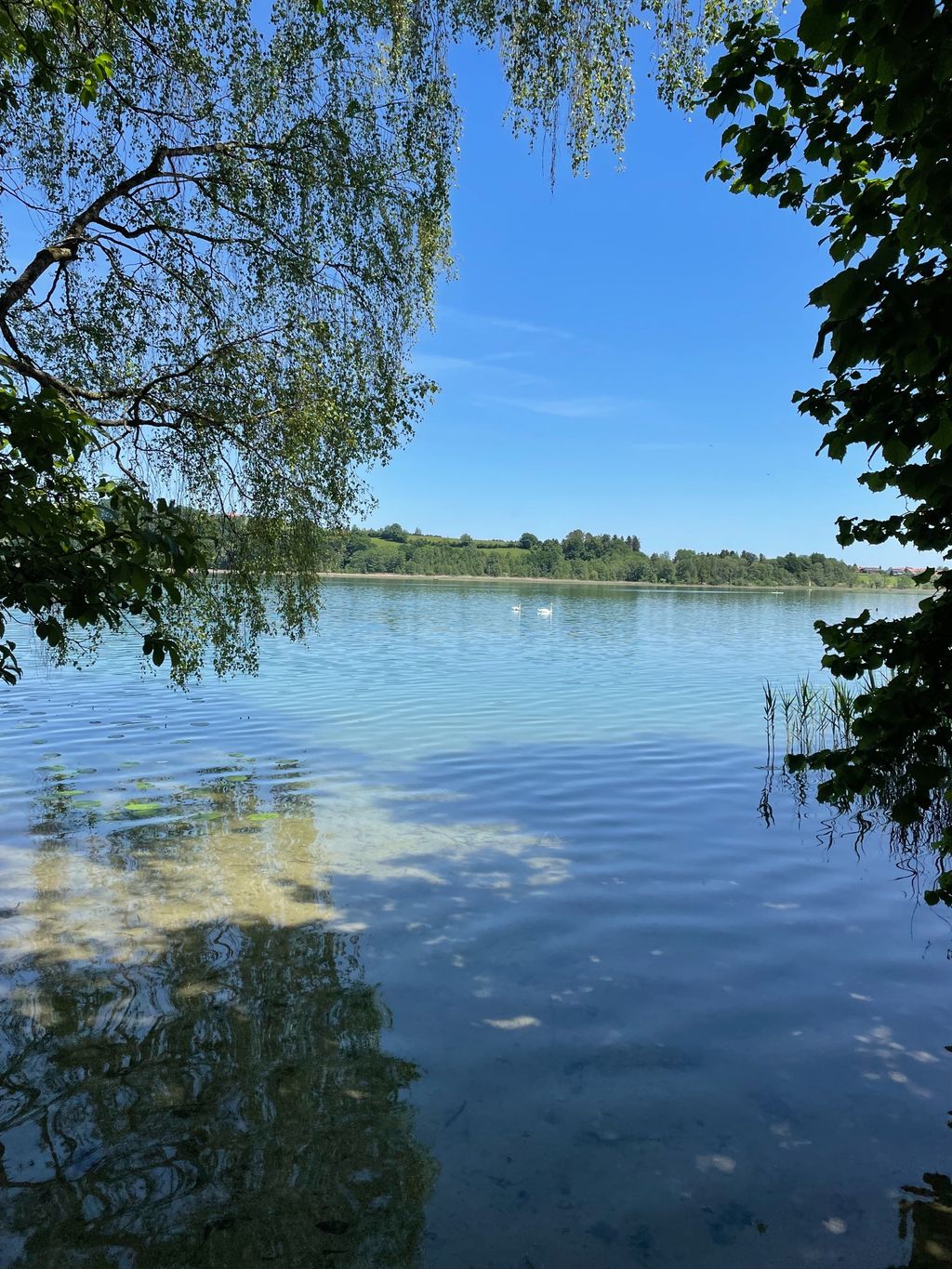 Parcela pequeña con vistas al lago