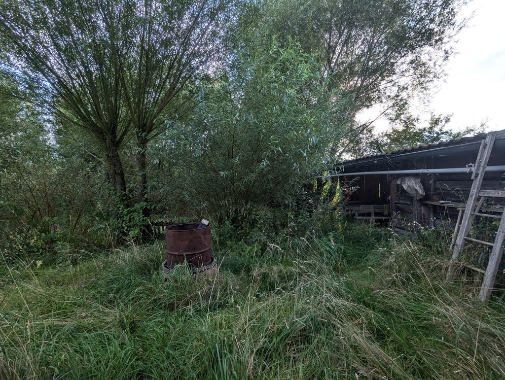 Un paesaggio idilliaco nei pressi di Bamberga, con un laghetto e meli