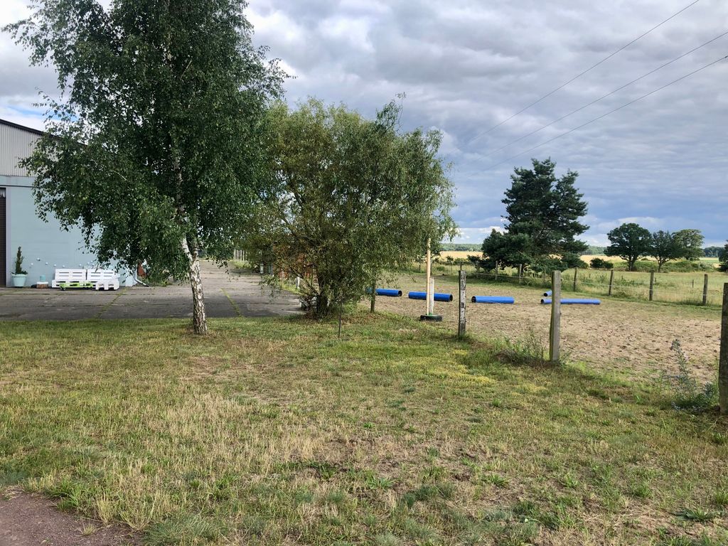 Tempo libero nel Prignitz - vacanze con i cavalli