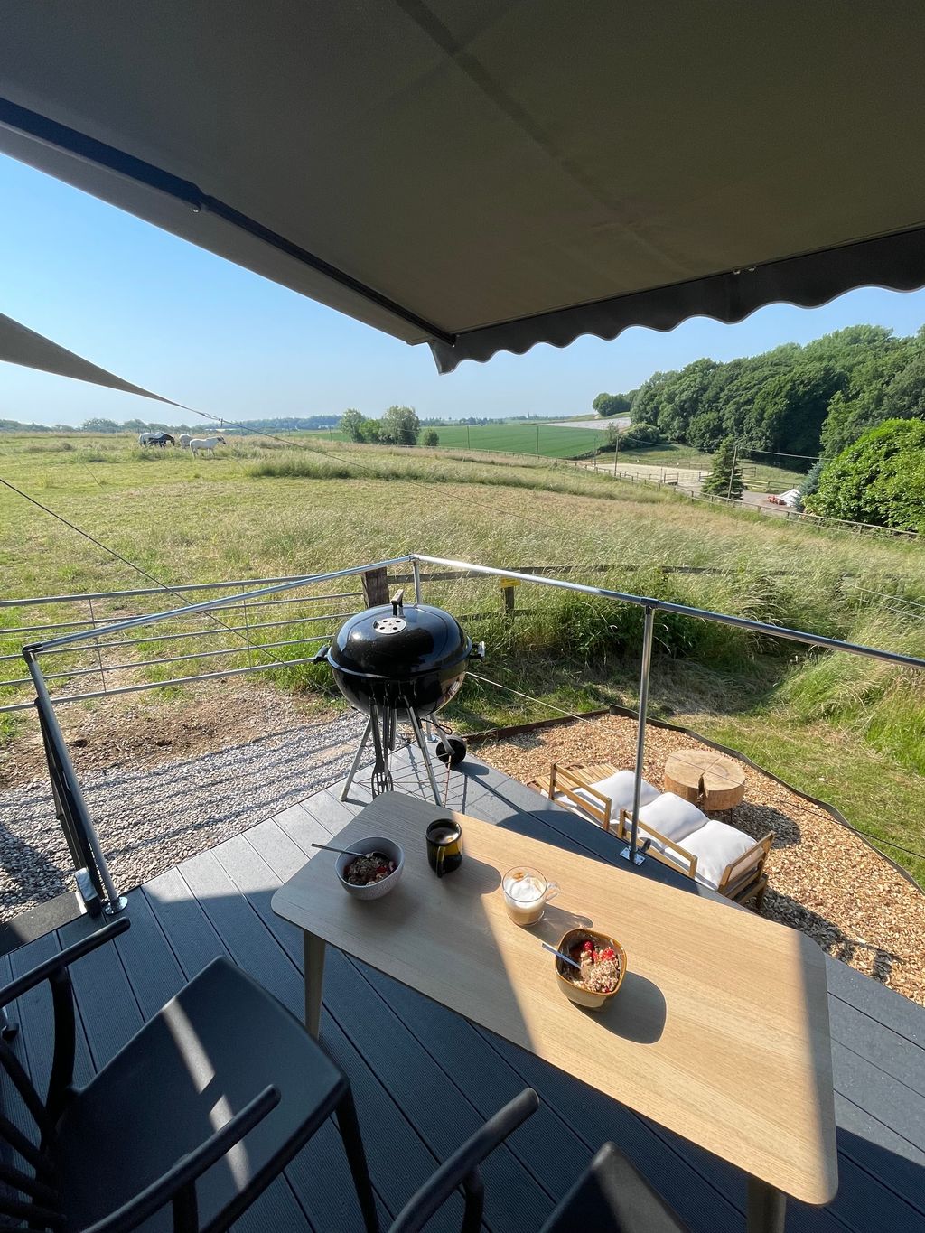 Container-Tinyhouse direkt neben der Pferdekoppel