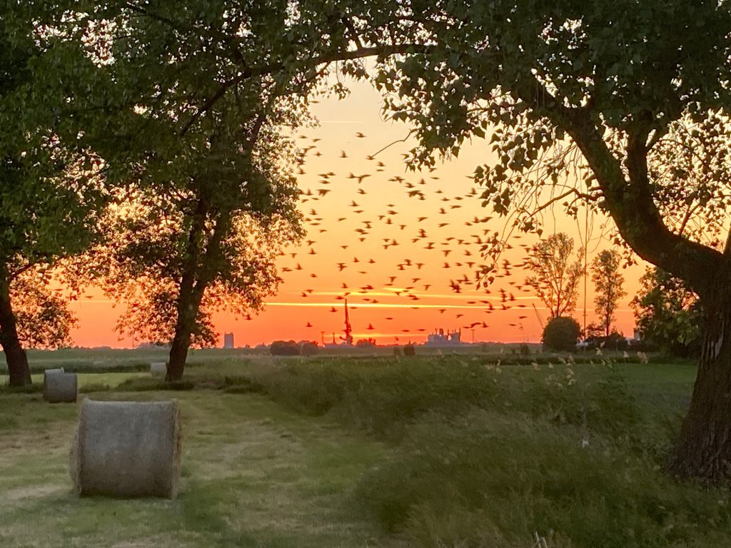 Suggerimenti utili vicino a Bremerhaven am Deich