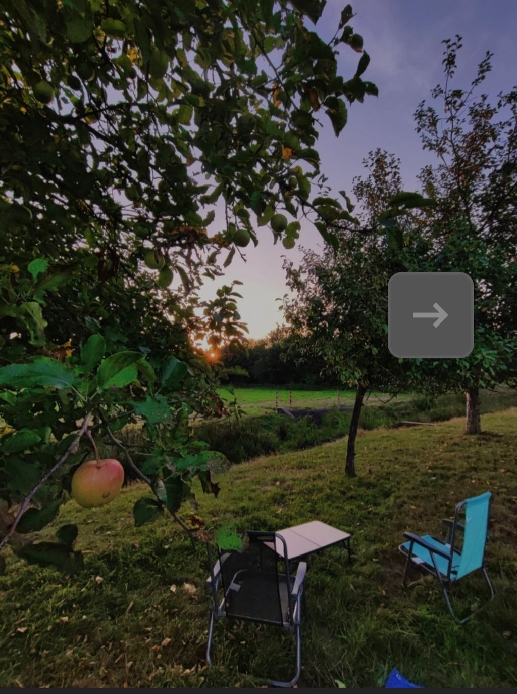 Pradera de frutas entre burros, ovejas y vacas