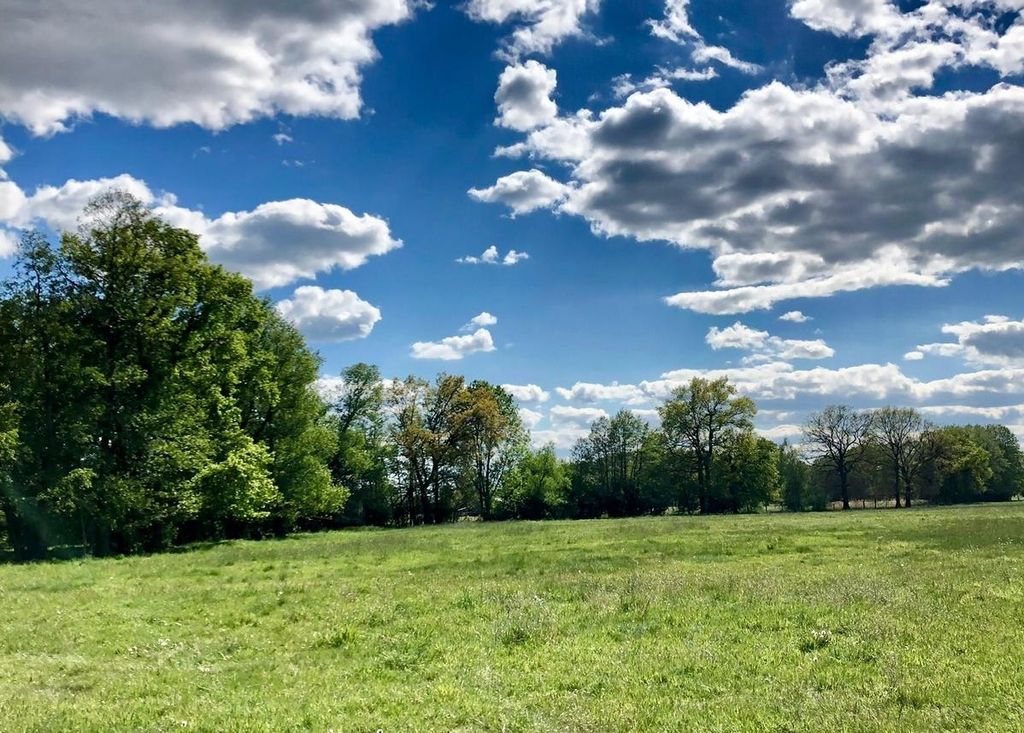 Near Arendsee with alpacas in an idyllic location