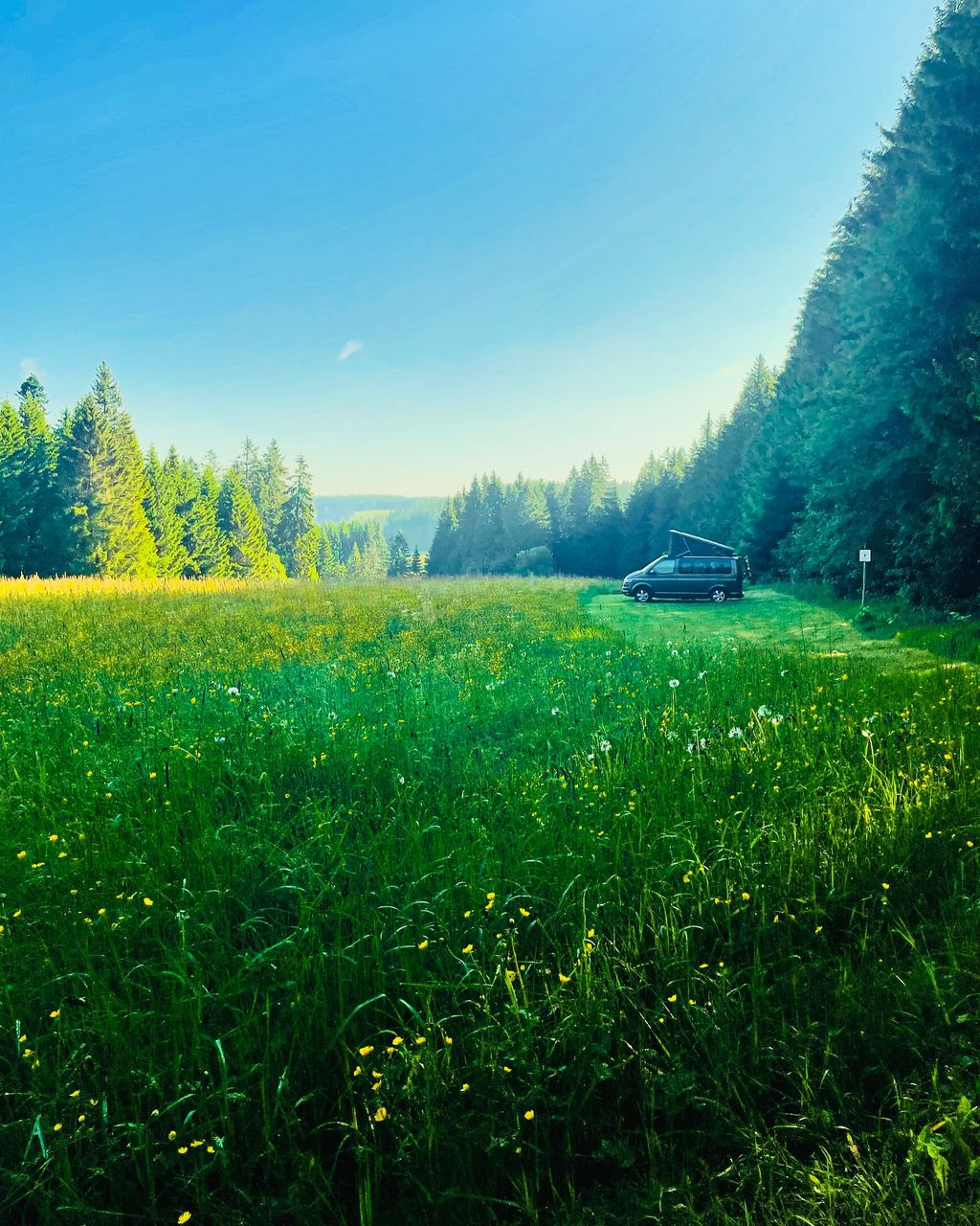 Campeggio naturale nella Foresta Nera in posizione isolata