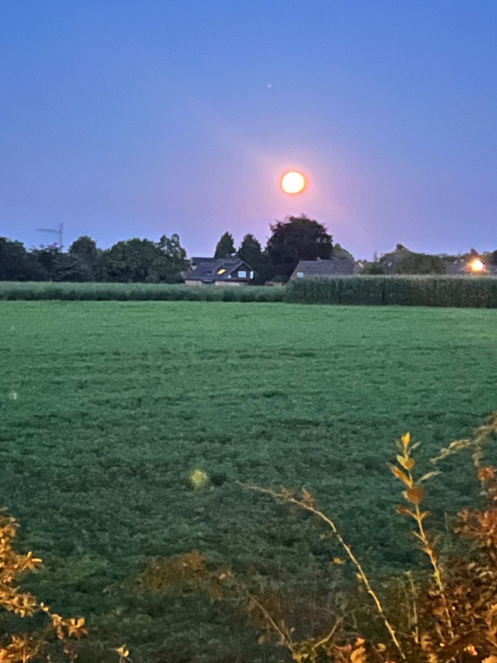 Mediterranean nature experience on the Lower Rhine