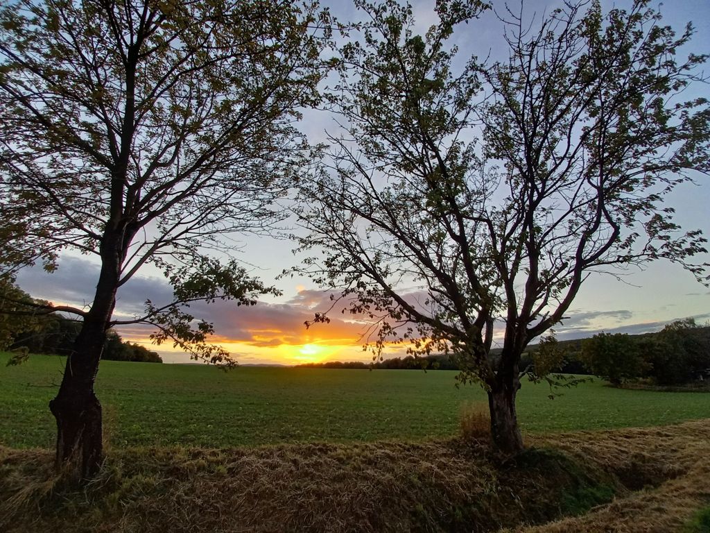 Alone location in the nature with a view of the forest