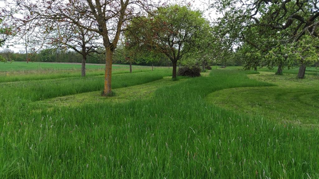 Orchard meadow right next to the Hasenwald zoo