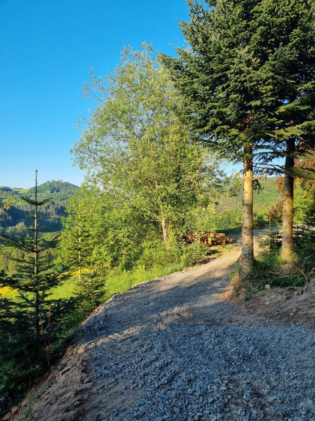 Raus aus dem Alltag - Rein ins Schwarzwald-Iglu