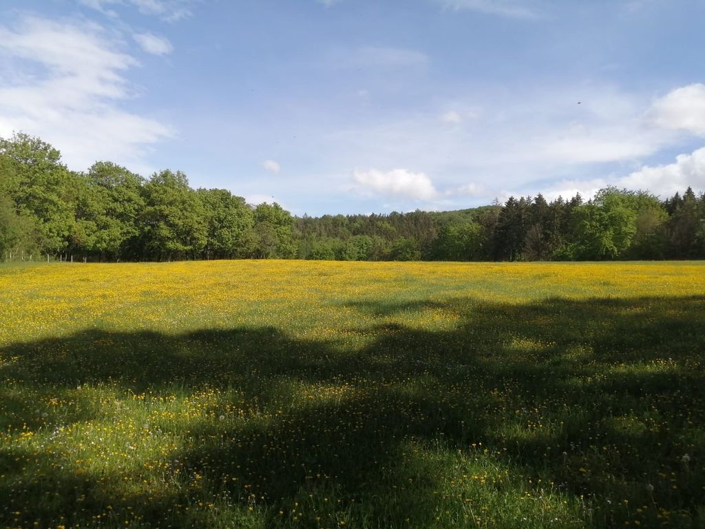 La nature à l'état pur au vieux moulin du lac de Heichelheim