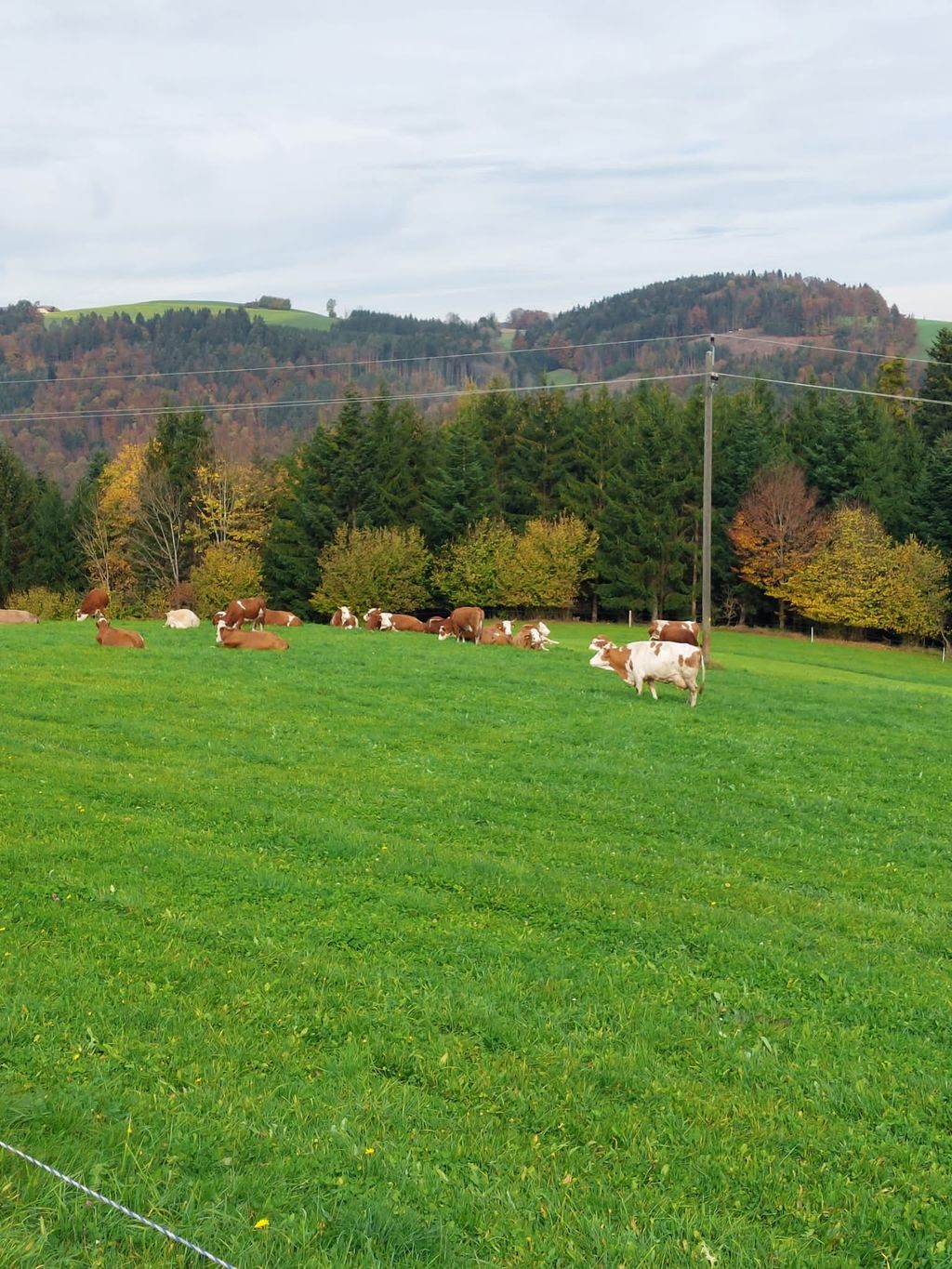 Camping au-dessus de la merveille naturelle qu'est le Donauschlinge