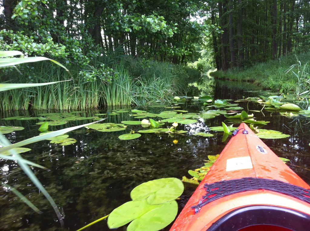 Crystal clear lakes, healthy nature, idyllic bays