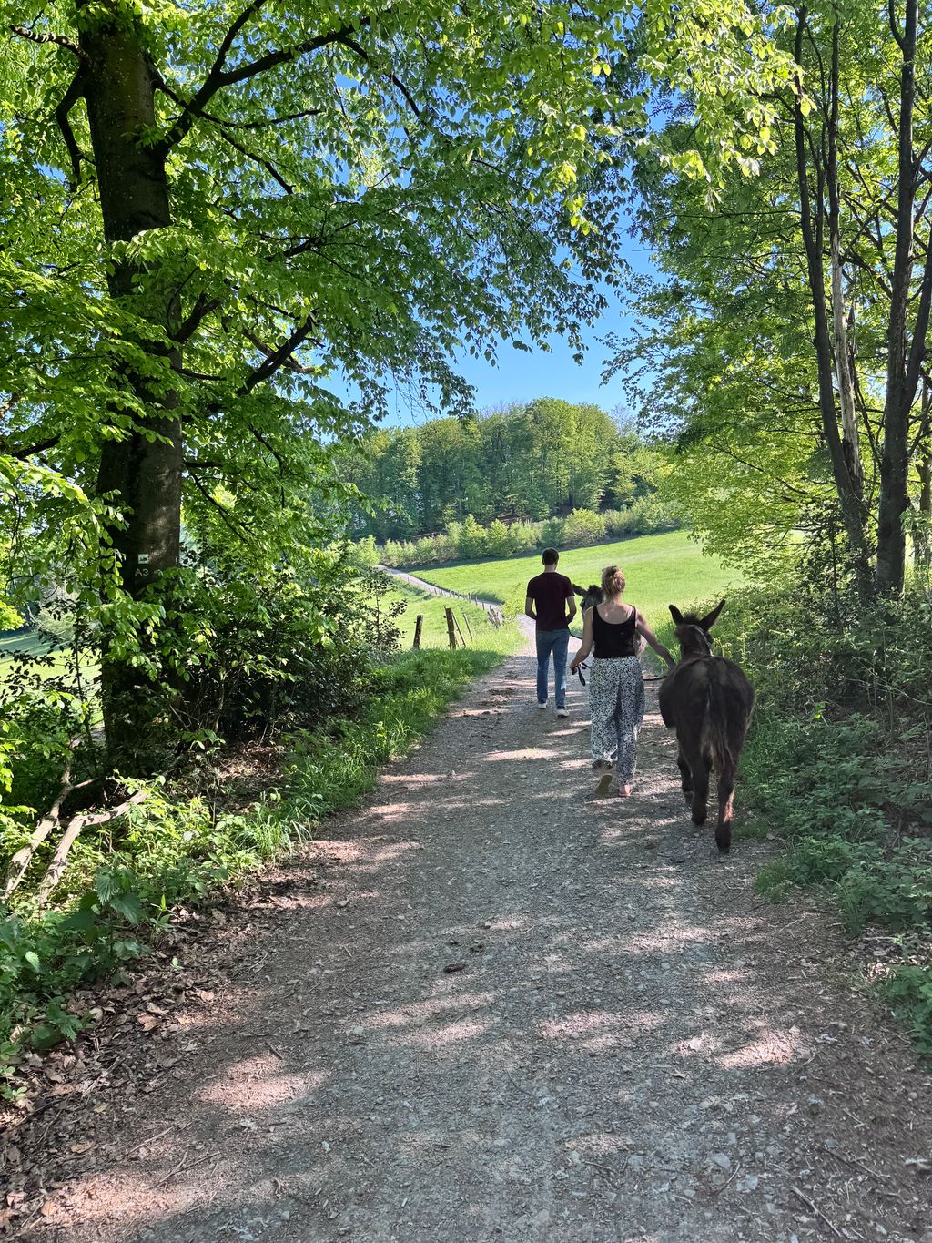 Reiterhof mit Blick über das Bergische Land