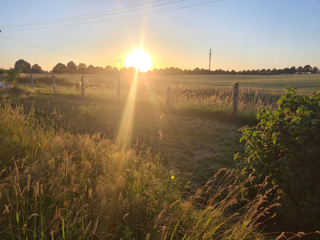 Suitable place for travelers or campers