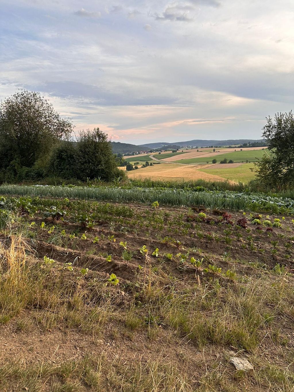 Campeggio in una fattoria biologica nella valle di Gutenecker