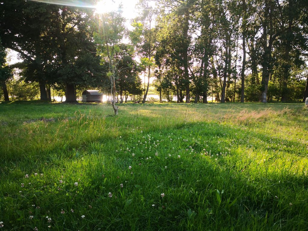 Glampingzelt im Gutspark am See in Mecklenburg 