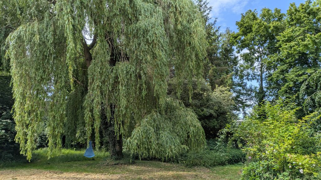 Camping auf der "Grünen Insel"