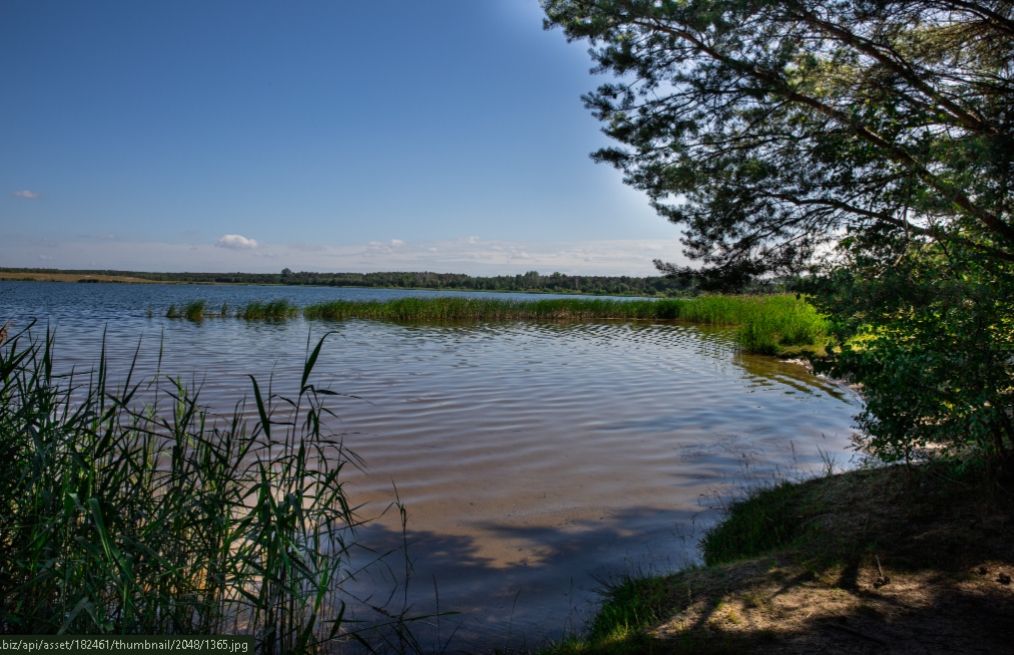 Campeggiare vicino alla foresta della Sprea