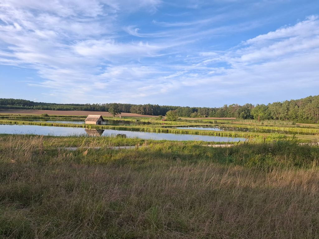 Arrêt camping idéal dans le paradis naturel de l'Aischgrund