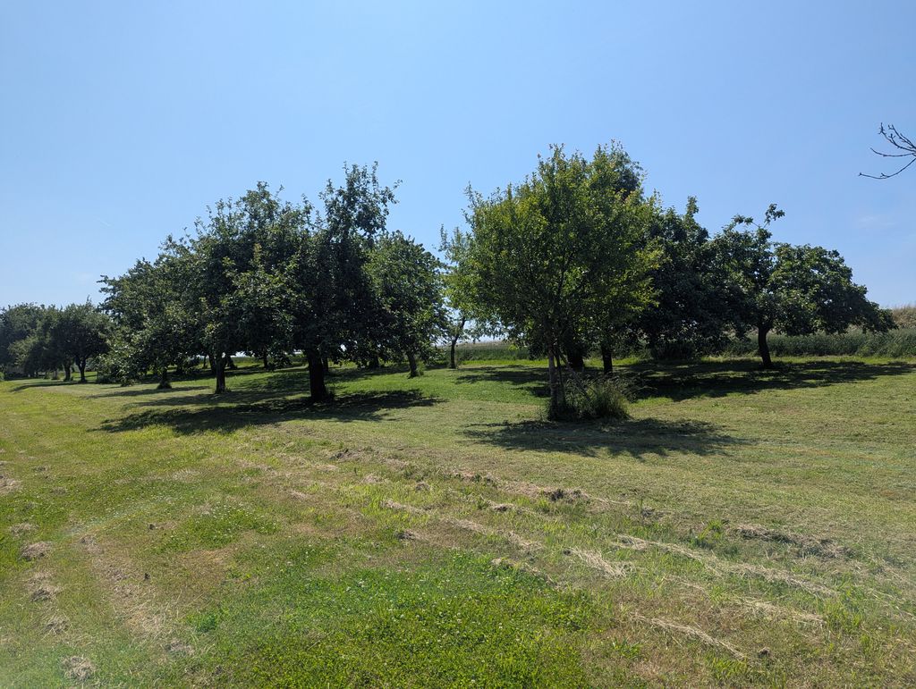 Pradera cerca del aeródromo de planeadores