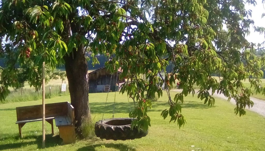 Motorhome vacation on the farm