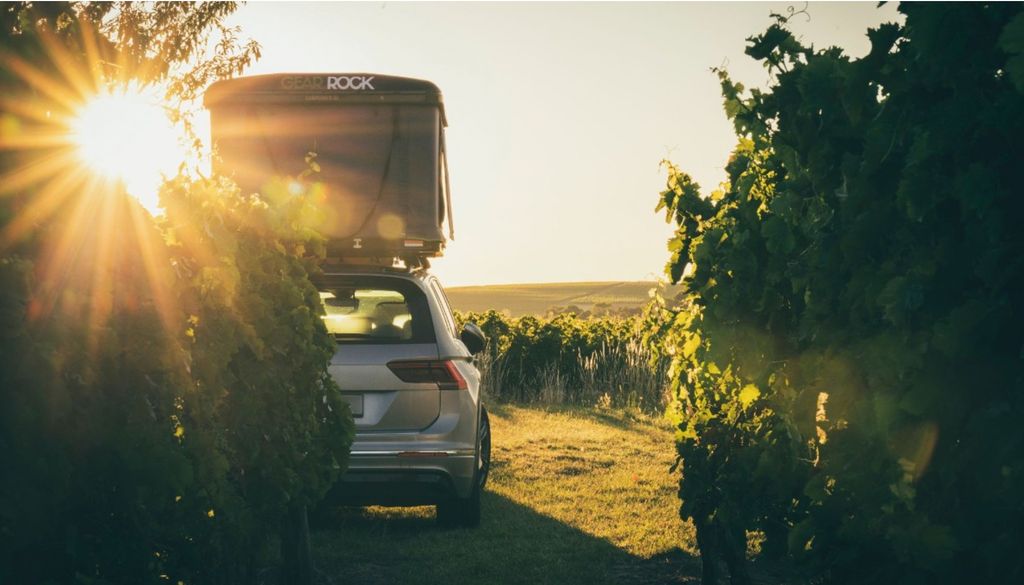 Domaine viticole dans les vignobles