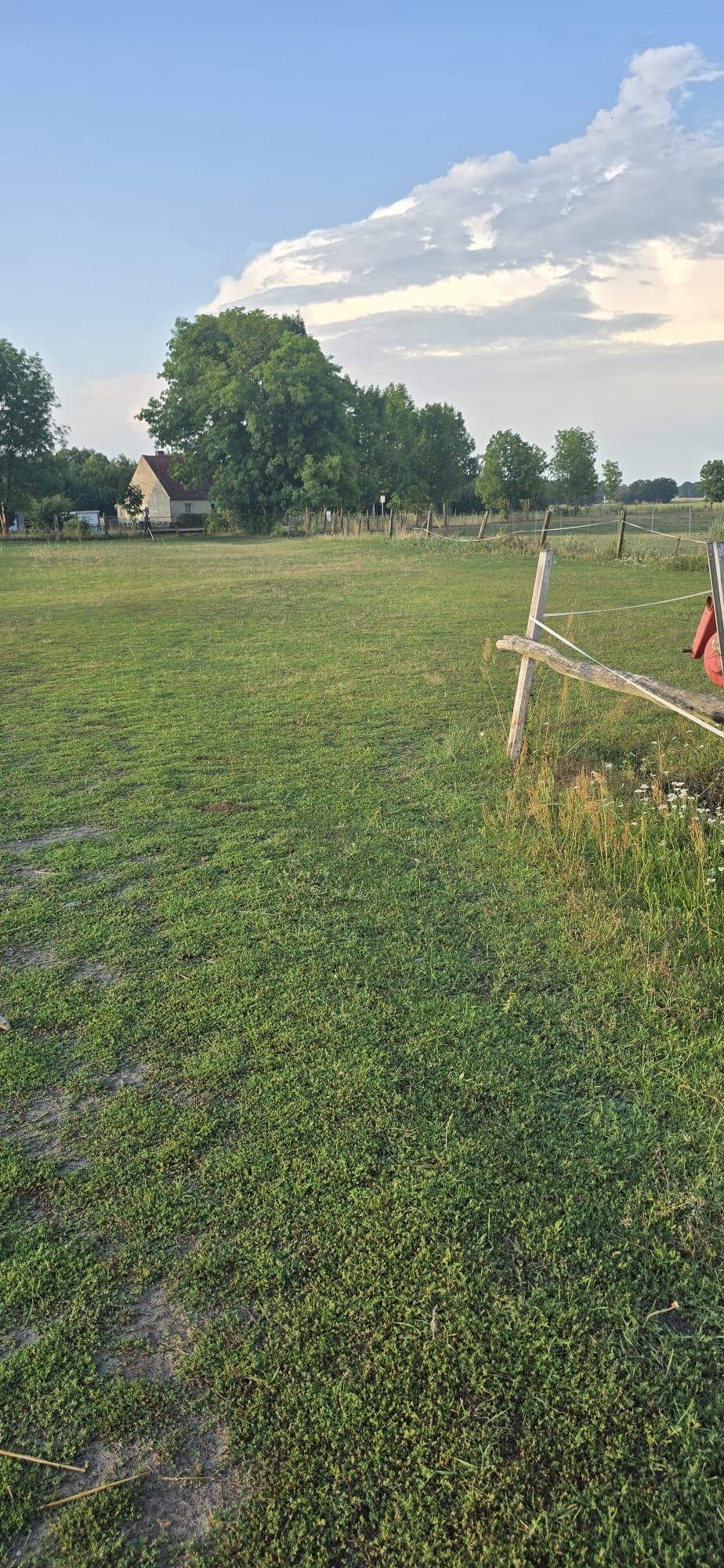 Idyllischer Wiesen-Stellplatz im Grünen 