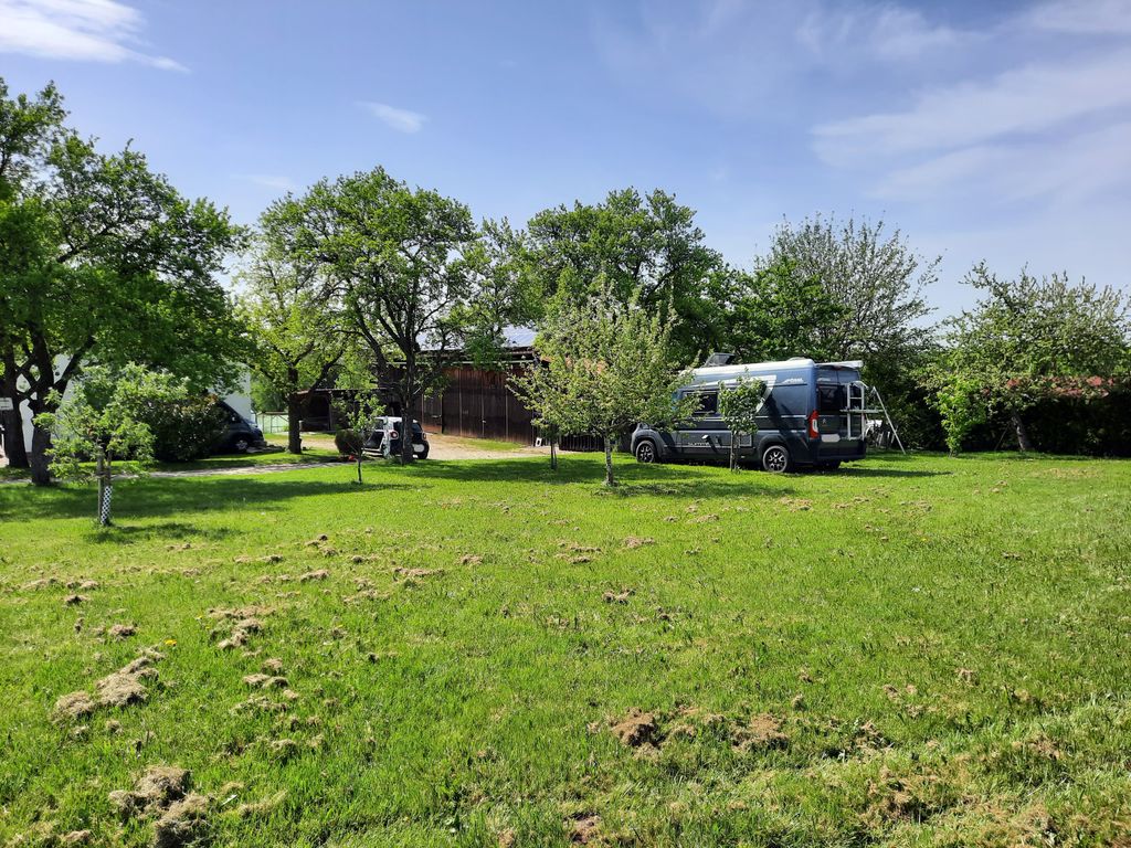 Pitch on our Ländle between fruit trees