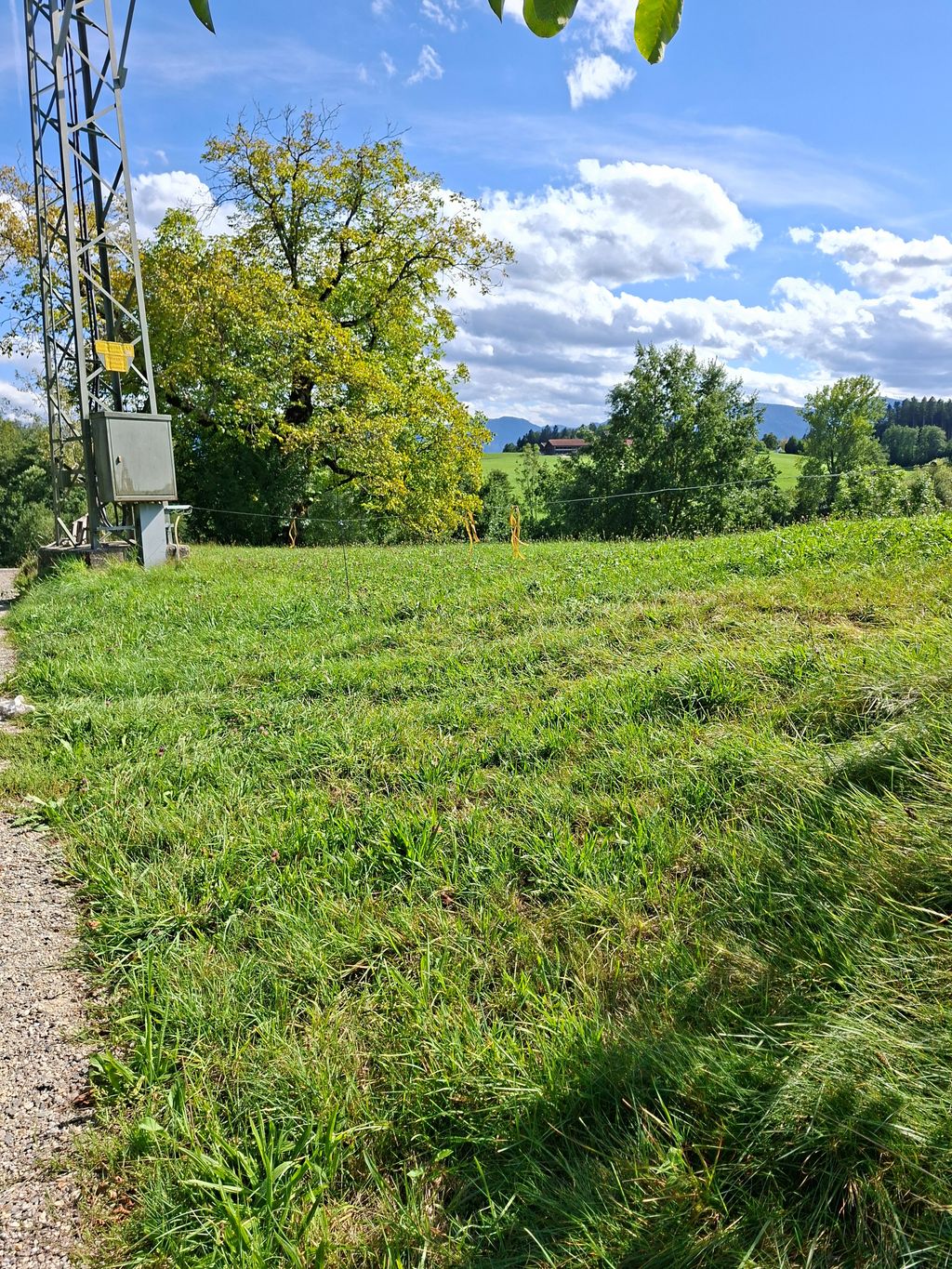 Stellplatz in Alleinlage mit schönem Weitblick