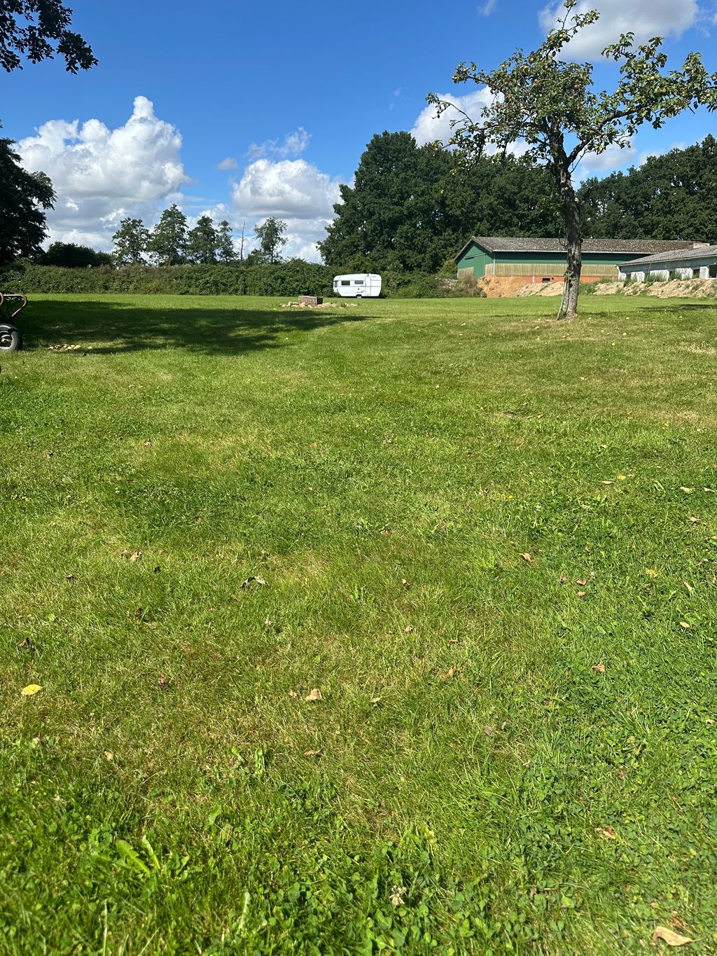 Large meadow with free choice of pitches