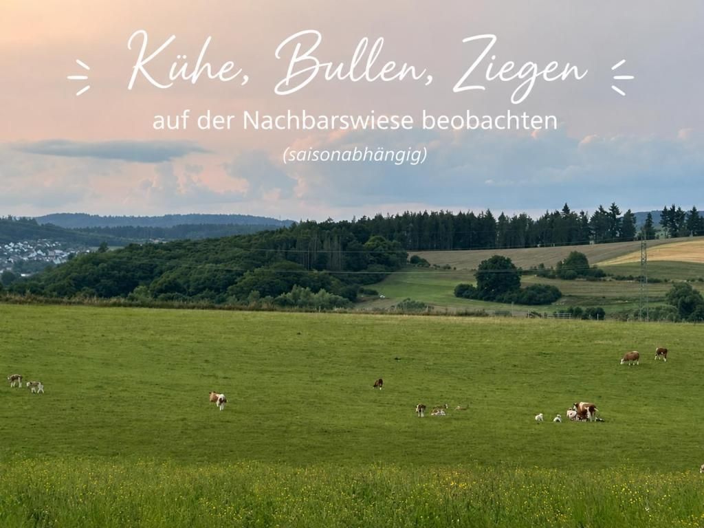 Terrassenblick/Stellplatzblick