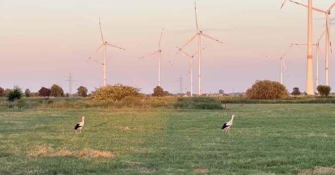 Weitblick über die Felder an der Unterweser