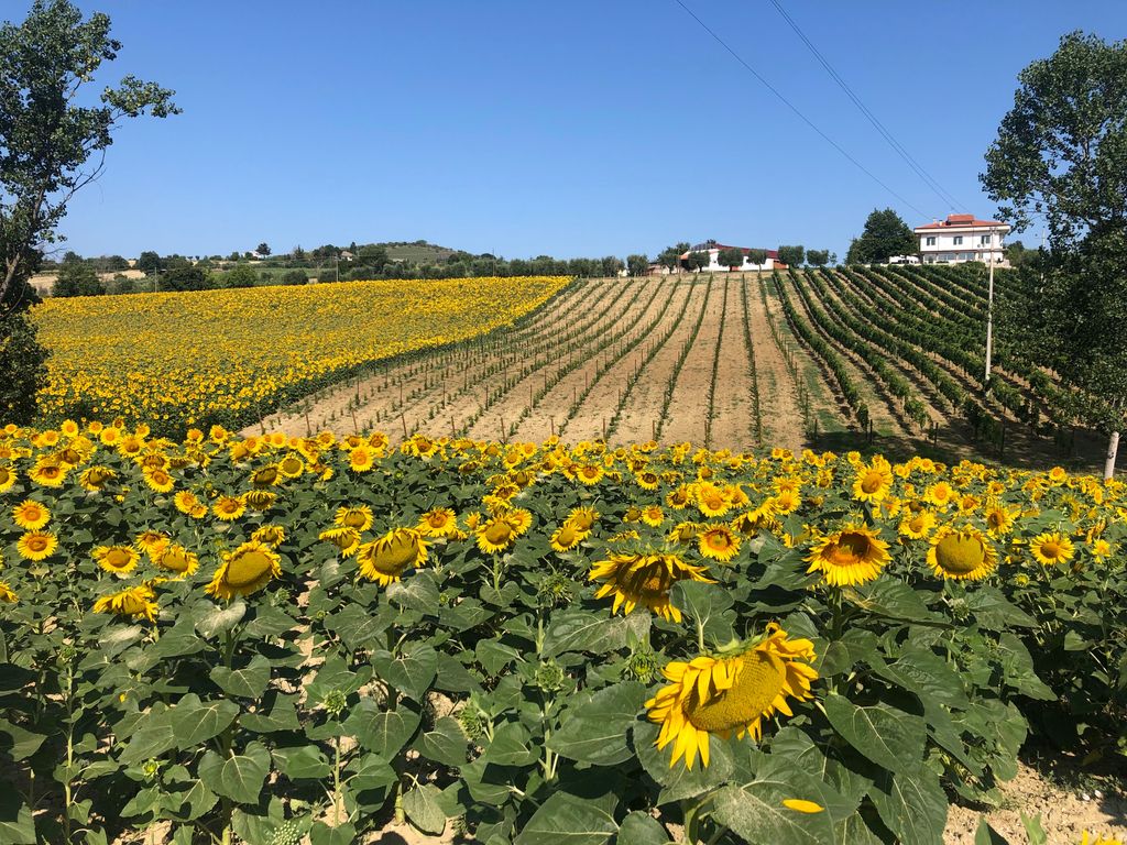 Eine Nacht in der Tonne
