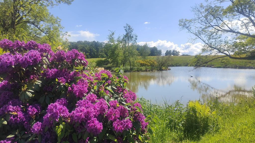 Natur-Idylle in Frankreich: Stellplatz am See