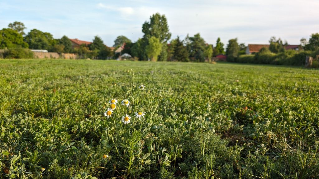 Un grande prato nella fattoria tra Havel e Beetzsee